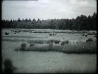 156 AV156 Diversen landschap; J. Poortman; 1945-1949